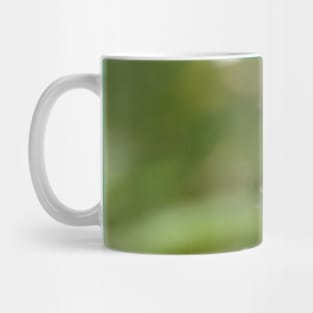 Bee On Water Hemp Flower Mug